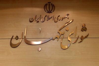 طرح «تشدید مجازات جاسوسی» قانون شد