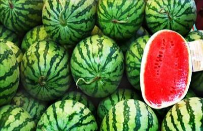 عراق ورود 44 محصول ایرانی را ممنوع کرد+ جزئیات