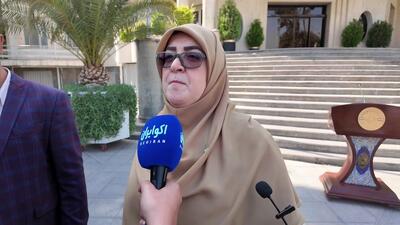 سخنگوی دولت:‌ ایران پیشنهاد مذاکره مستقیم با آمریکا و اروپا را داده بود/ ویتکاف سر قرار نیامد