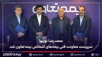 محمدرضا نورب‌ها سرپرست معاونت فنی بیمه‌های اشخاص بیمه تعاون شد | اقتصاد24