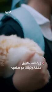  ببینید؛ مافلین؛ «حیوان خانگی آینده» با ۴ میلیون شخصیت متفاوت