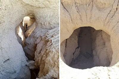 ماجرای فوت قناتی که سرو ۴۰۰۰ ساله ابرکوه را آبیاری می‌کرد