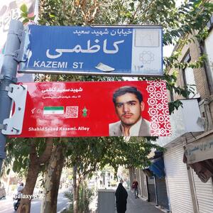 تهران به تصاویر شهدا مزین می شود