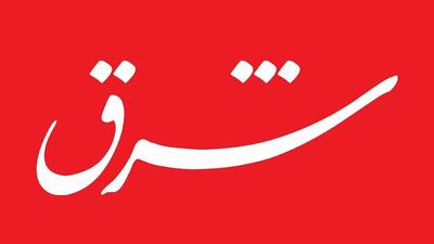 اعلام جرم دادستانی درپی انتشار این خبر | ادعای افزایش تولد نوزادان با اختلال کروموزومی مصداق نشر اکاذیب است