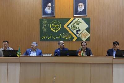 معاون وزیر: بحران آب، مانع اصلی توسعه کشاورزی و تهدیدی برای امنیت غذایی است