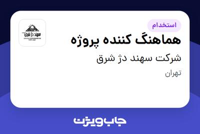 استخدام هماهنگ کننده پروژه در شرکت سهند دژ شرق