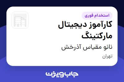 استخدام کارآموز دیجیتال مارکتینگ در نانو مقیاس آذرخش