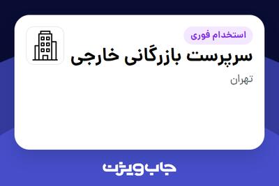 استخدام سرپرست بازرگانی خارجی در سازمانی فعال در حوزه فناوری اطلاعات / نرم افزار و سخت افزار