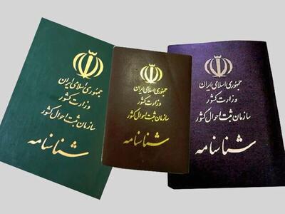 این گروه از زنان شناسنامه سلامت دریافت می‌کنند