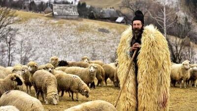 خلاقیت تحسین‌برانگیز و خنده‌دار چوپان ایرانی در تبدیل غار کوه به آغل حیوانات دیدنیه/ اُسکار معماری رو باید میدادن به ایشون
