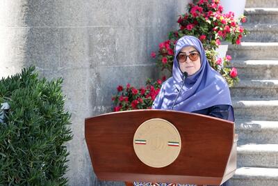 مهاجرانی: جزئیات حضور چهره‌های مشهور در میان ۱۲۰ مهاجر برگشتی از آمریکا بعداً اطلاع‌رسانی می‌شود + فیلم
