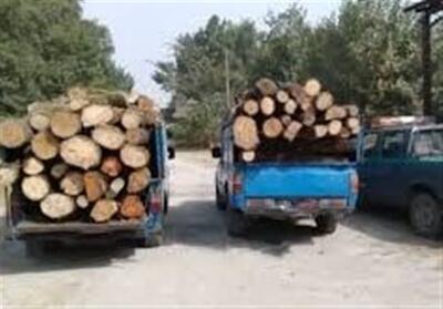 کشف 60 اصله چوب‌آلات جنگلی در اردبیل - تسنیم