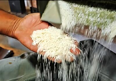 کشف ‌22 تن برنج تقلبی در خرامه‌ - تسنیم