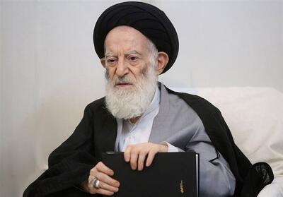 جهاد علمی؛ خوانشی از پیام آیت‌الله شبیری زنجانی به طلاب جوان - تسنیم