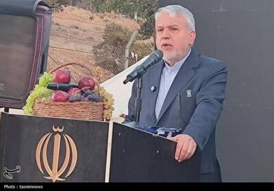 برگزاری نخستین جشنواره سیب و دومین جشنواره انگور در سی سخت - تسنیم