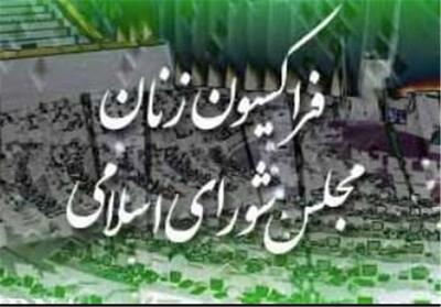 جلسه فراکسیون زنان مجلس با وزیر اطلاعات - تسنیم