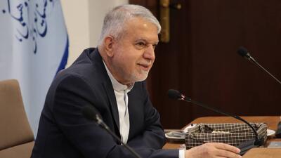 صالحی‌امیری: دنیا بداند ایران «امن» است