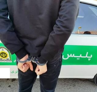دستگیری کلاهبردار ۴ هزار و ۵۰۰ میلیاردی در ایلام