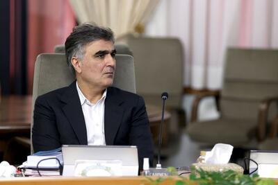  فرزین: سپرده ای در اروپا نداریم که بلوکه شود
