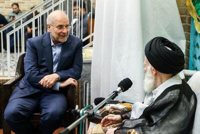 تصاویر: دیدار و گفت‌وگوی قالیباف با آیت‌الله‌العظمی شبیری زنجانی