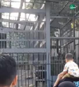 میمون باغ وحش ارم با شلنگ آب مردم را خیس کرد!
