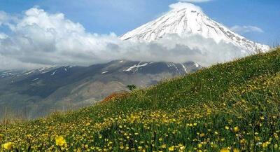 دلربایی اسب‌هایی وحشی در دامنه دماوند باشکوه | جهان نیوز