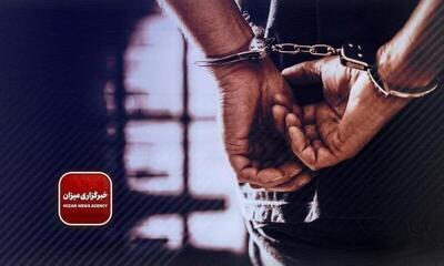 دستگیری عاملان رعب وحشت در خیابان کارگر تهران