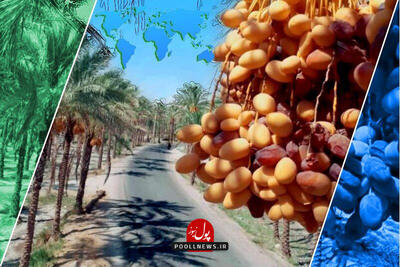 فعالان اقتصادی مانند درخت هستند