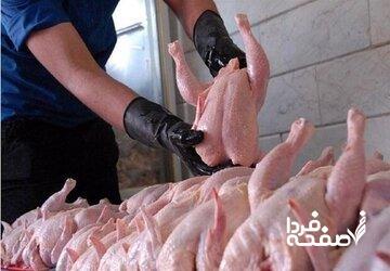سفره خانوار گران‌تر شد/علت افزایش قیمت مرغ چیست؟