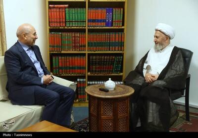 آیت‌الله سبحانی: مجلس به موضوع مهریه و زندانیان ناشی از آن توجه کند - تسنیم