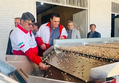 بازدید مدیران کل امور استان‌ها و املاک و موقوفات هلال احمر کشور از موقوفات رفسنجان- فیلم فیلم استان تسنیم | Tasnim
