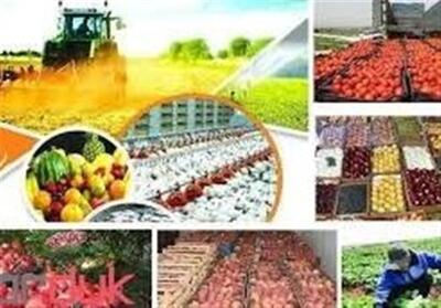 فعالیت 416 واحد صنایع تبدیلی در استان مرکزی - تسنیم