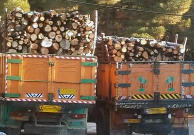 کشف 15 تن چوب جنگلی قاچاق در دیواندره - تسنیم