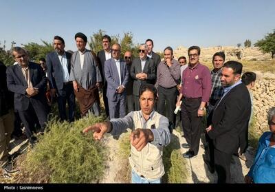 سفر وزیر میراث فرهنگی به دل تاریخ- عکس صفحه استان تسنیم | Tasnim