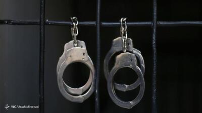 دستگیری فروشنده قرص‌های اعتیادآور در داراب