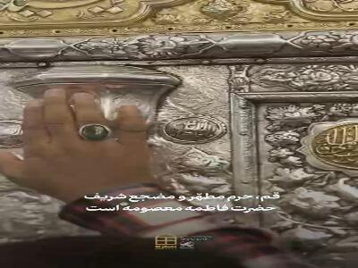 پنجره متفاوتی به حال و هوای این شب‌های حرم مطهر حضرت معصومه(س)