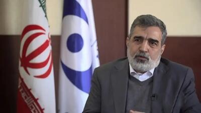 سازمان انرژی اتمی دستور اردوغان برای توقیف دارایی‌های ایران را تکذیب کرد