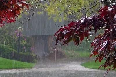 صدور هشدار سرمازدگی در کشور
