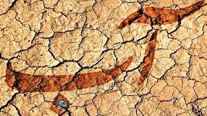 صنایع پرآب اولتیماتوم گرفتند/ تاسیسات خود را به کنار دریا انتقال دهند
