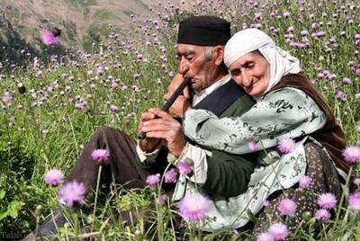 پیری شمال و جوانی جنوب