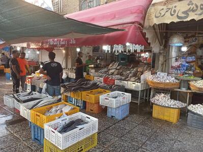 نگاه حمایتی اتاق اصناف به انتقال کسبه دروازه کازرون/ ۷۰ درصد ظرفیت بازار پروتئین فعال شد