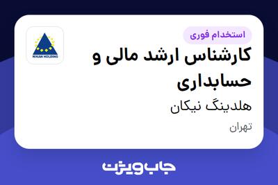 استخدام کارشناس ارشد مالی و حسابداری در هلدینگ نیکان
