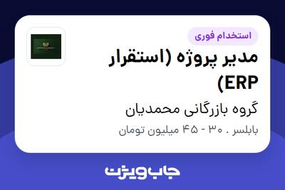 استخدام مدیر پروژه (استقرار ERP) در گروه بازرگانی محمدیان