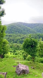  فیلم / طبیعت زیبای نورالعرش