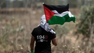  سازمان جهانی بهداشت: 5000 فلسطینی از آغاز جنگ قطع عضو شده اند