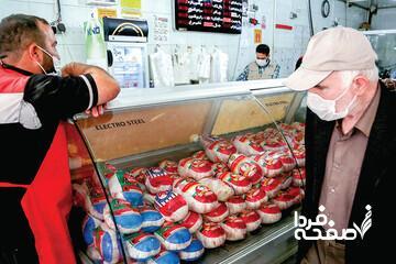  قیمت جدید مرغ اعلام شد/ طلاکش: مرغ بالاتر از این نرخ گران است