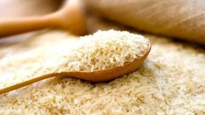 قیمت برنج ترمز برید