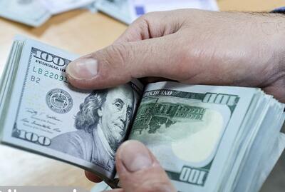  واکنش فرزین به دلار ۱۱۷,۰۰۰ تومانی/ بانک مرکزی ترمز بازار را می‌کشد؟