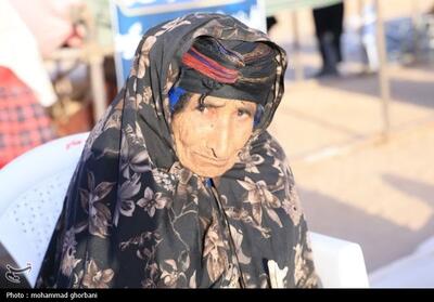 انحلال سازمان امور عشایر تهدیدی برای امنیت غذایی کشور است - تسنیم