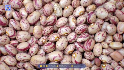 لوبیا چیتی